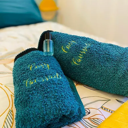 アパート Cosy Parking Gratuit Jardinet Refait A Neuf